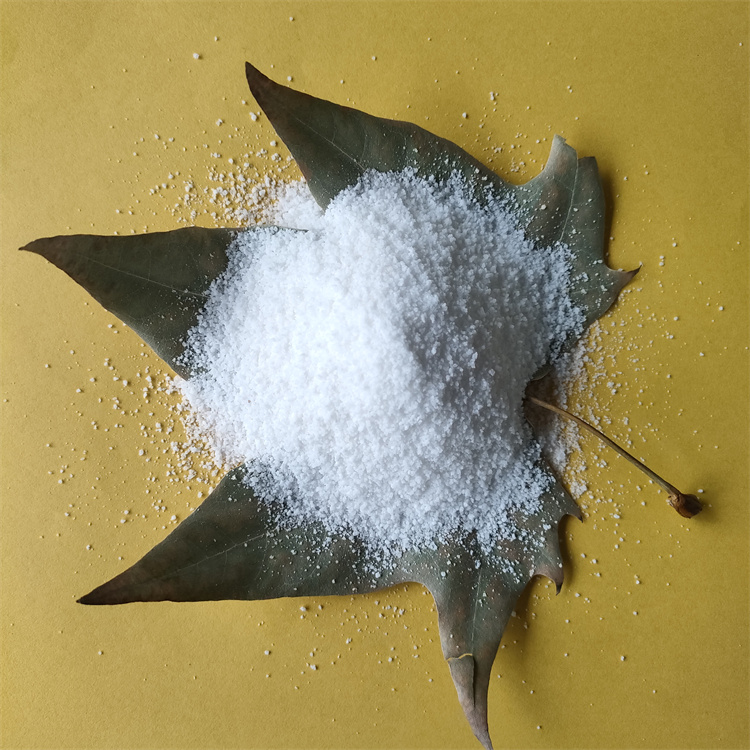 聚丙烯酰胺 聚丙烯酰胺